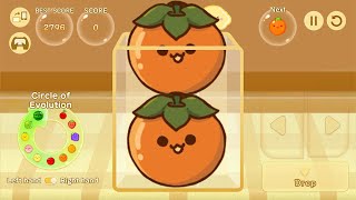 Part59 🙈QSWaterMelon🙈 スイカゲームの遊び方を紹介します！ QS WaterMelon #qswatermelon #qsmonkeyland #suikagame