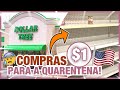 TENTANTO FAZER COMPRAS NA DOLLAR TREE - LOJA DE $1 NOS EUA