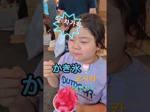 일본빙수 카키코오리! 오사카 도톤보리에서  일본빙수로 시원하게  더위를 날려요!#일본빙수#카키코오리#오사카#상상속빙수#일본애니속빙수