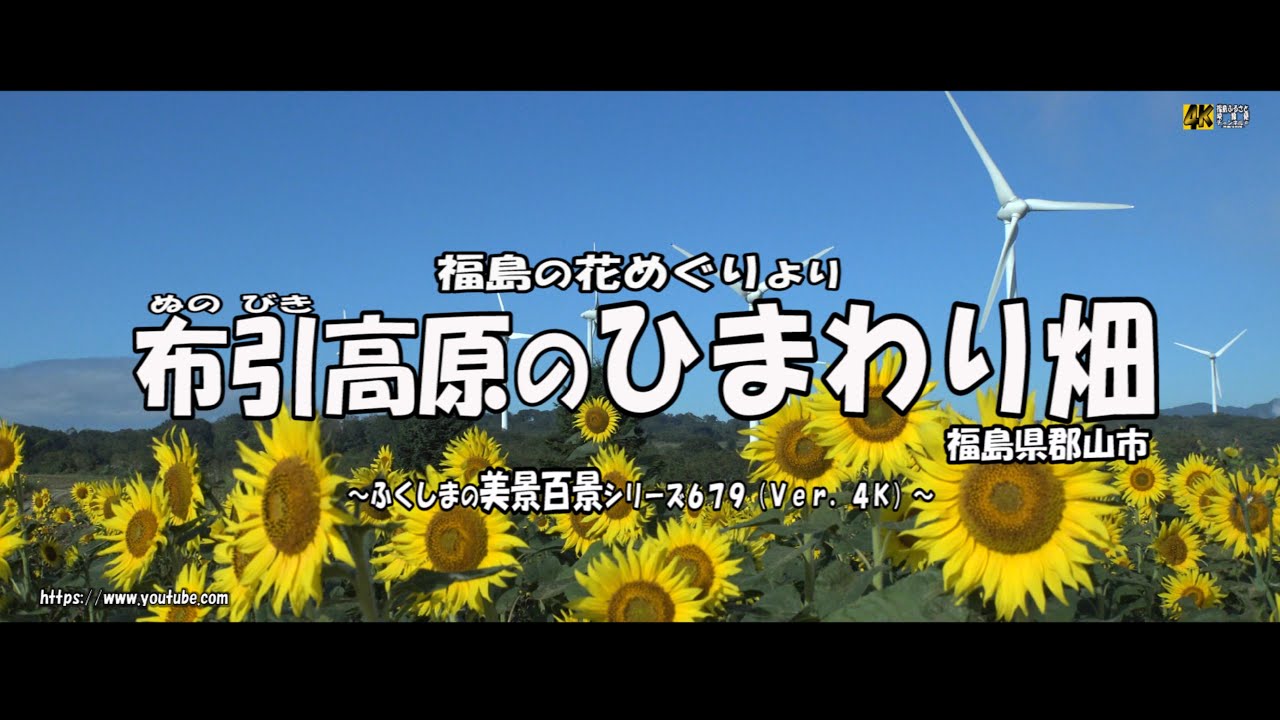福島の花めぐりより ｖｅｒ 4ｋ 福島県郡山市 布引高原のひまわり畑 Youtube
