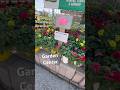 BELGIAN WALL PLANTER SHOPPING FLOWER HALL MENARDS GARDEN CENTER #gardencenter #menards