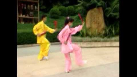 Thái cực song phiến (Hành trình trên đất phù sa)