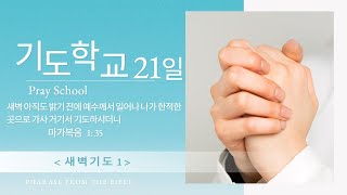 #기도21일 #샘터교회 #기도50일 #새벽기도1