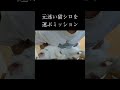 なぜ、起きない!?まるで人間の赤ちゃんみたいな猫。