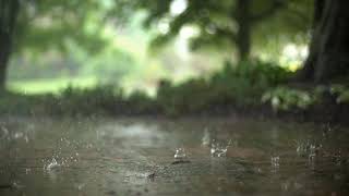 Relaxing music for sleeping Soft Rain Sounds Relaxing Piano Music Sleep Music Peaceful screenshot 3