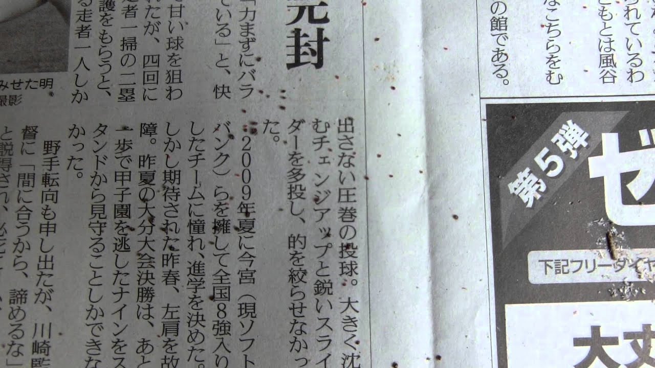 ツバメを守る対策 つばめのおうちは家の中