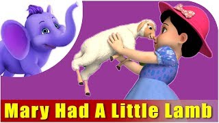 Mary Had A Little Lamb  Hindi Rhymes From Appuseries 4k