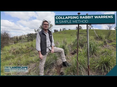 A simple method for collapsing rabbit warrens