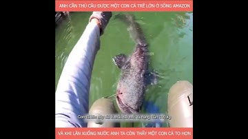 Anh Cần Thủ Câu Được Một Con Cá Trê Lớn Ở Sông Amazon #new