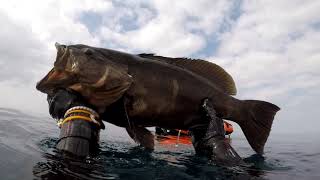 PESCA A LA ESPERA EN MALAGA