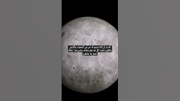 سورة النور 41
