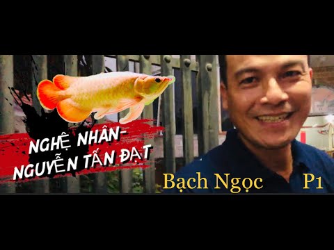 Video Dàn HUYẾT RỒNG phông trắng khủng của nghệ nhân Nguyễn... - youtube