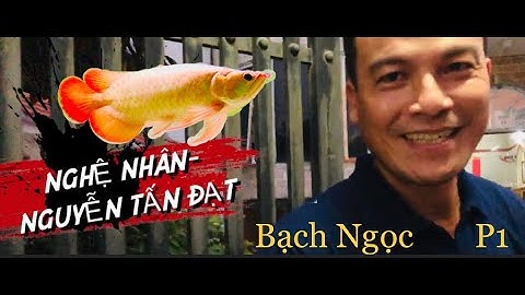 Dàn HUYẾT RỒNG phông trắng khủng của nghệ nhân Nguyễn Tấn Đạt | Huyết long bạch ngọc | Cá Rồng P1
