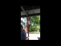 The U.S first City! St. Augustine, Florida Trolley Tour! Part 2
