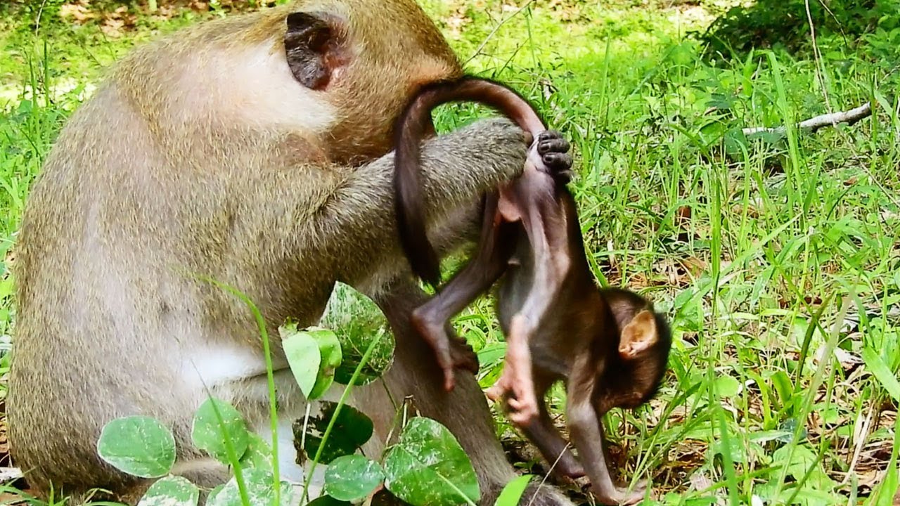 backup Mom Dana Cleaning Danaila back to Check Health, Nice Job This Morning Everything Very Well
