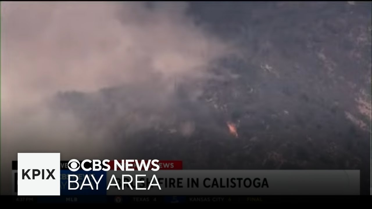 Breaking News: A Wildfire Causing Evacuations in the North Bay