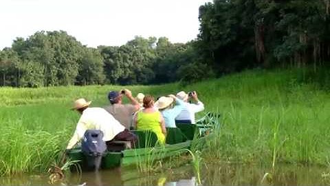 Tucano Amazon Cruise - Boat Tours