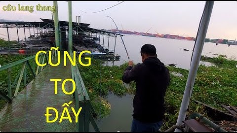 Câu Cá Sông Đồng Nai - Điểm Câu Bất Chấp Mọi Thời Tiết