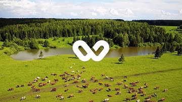 Wholechain - Food Supply Chain Traceability Using Blockchain