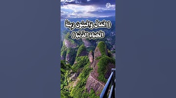 ايات قصيرة | بصوت القارئ عامر الكاظمي