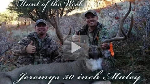 Utah Muley - Hunt of the Week #5 - MonsterMuleys.com