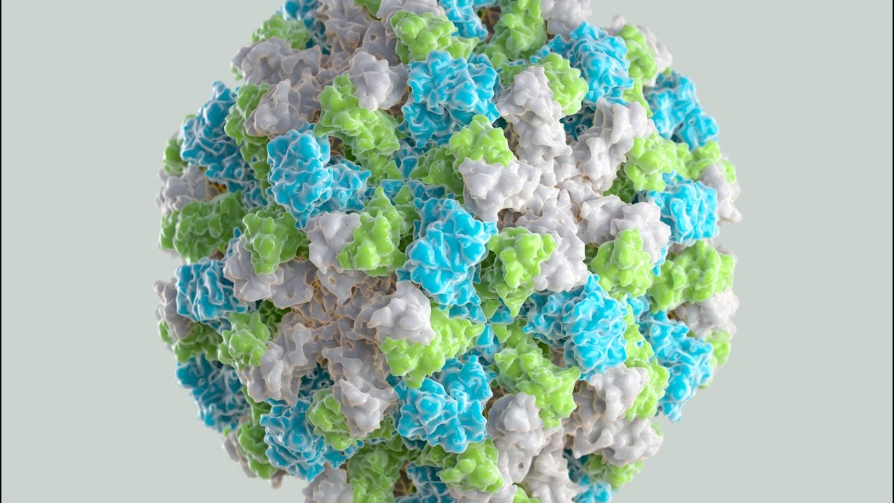 Medford school cancels classes due to norovirus outbreak - YouTube