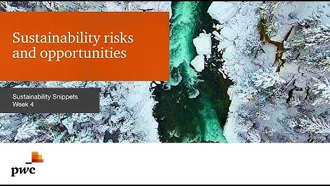 Week 4 - Sustainability risks and opportunities