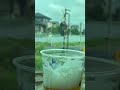 ディーゼルカーのエンジン音カッコいい👍