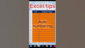 Auto number #excel #exceltips #excelhacks #exceltutorial #shorts #shortsfeed