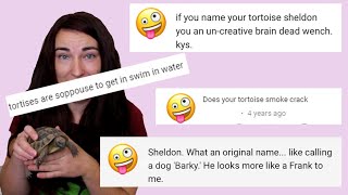 Reading Mean Comments About My Tortoise | Roasting Sheldon