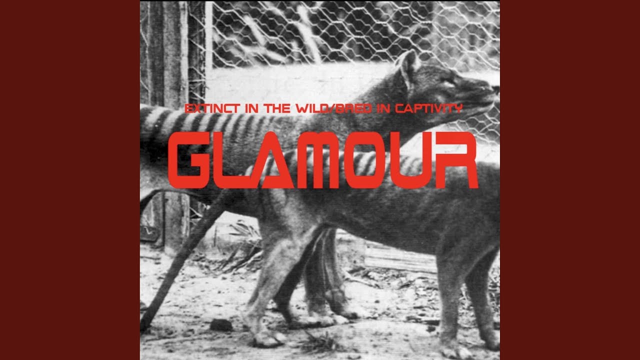 Train Reaction YouTube