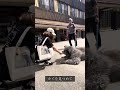 秋田犬長毛カイは大切な約束がある