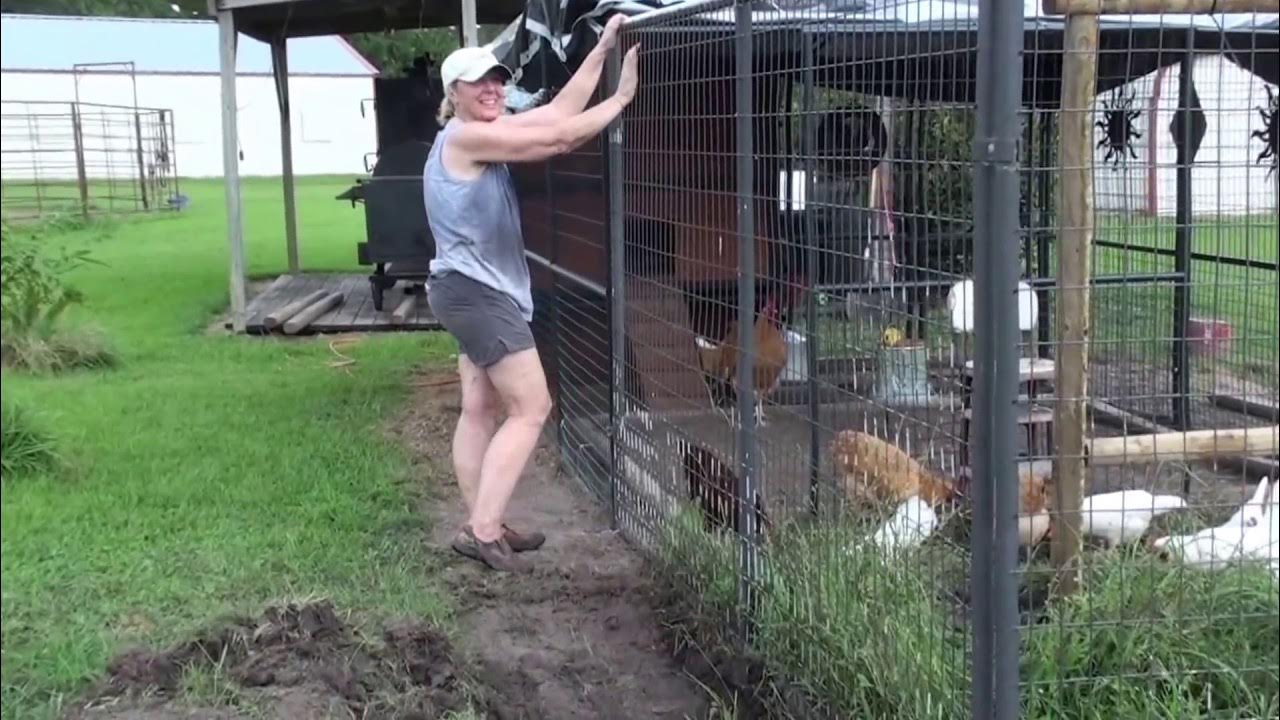 Karen's Tractor Supply Chicken Coop Expansion YouTube