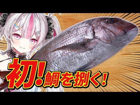 hqdefault.jpg?v=68a74836