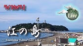 鵠沼ライブカメラ Youtube