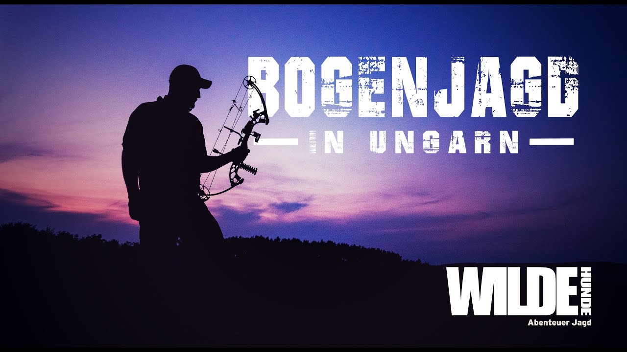 Bogenjagd in Ungarn | WILDE HUNDE