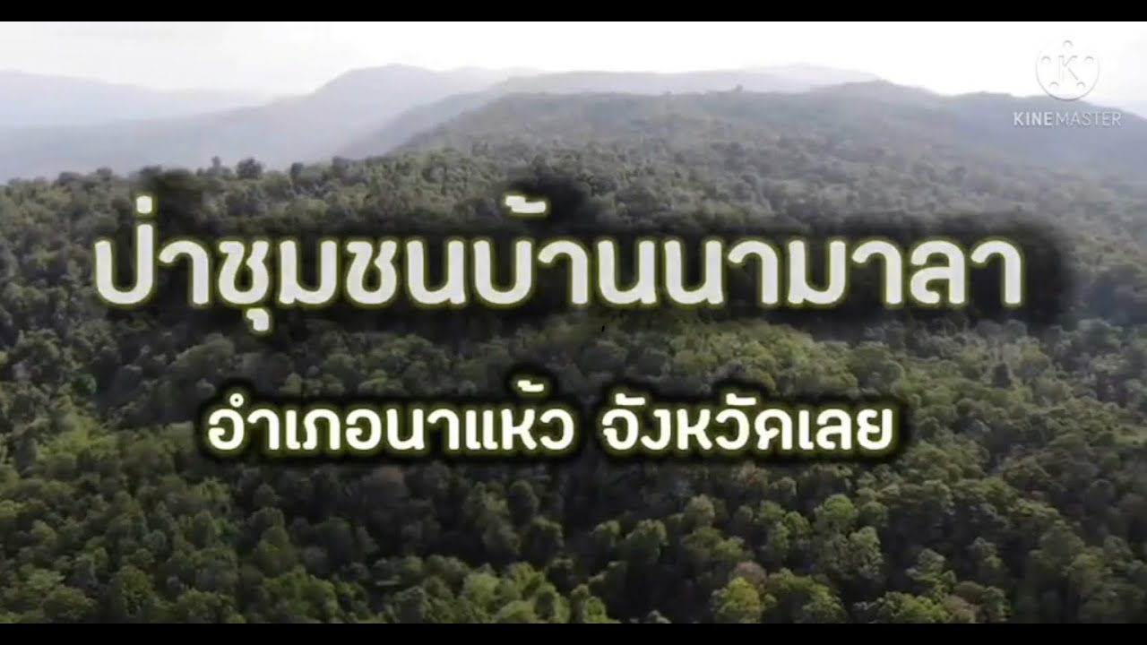 ป่าชุมชนบ้านนามาลา ต.นามาลา อ.นาแห้ว จ.เลย - YouTube
