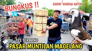 SHOPPING FOR PIGEONS AT THE MEKAR MARKET IN MUNTILAN, MAGELANG, YOU CAN GET ANTIQUE COLORED PIGEONS