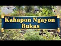 Kahapon Ngayon Bukas - Jennie Pearl song with lyrics
