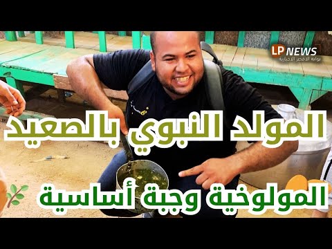 بالمولوخية أغرب احتفال في المولد في مصر بأسلوب صعيدي أقصري