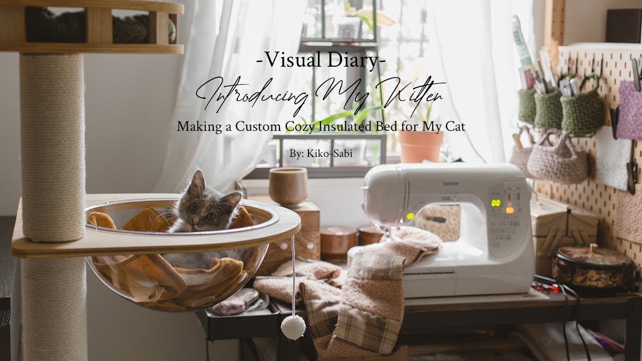 Visual Diary #45 | Introducing My New Kitten | Making A Custom