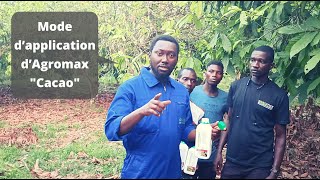 Mode Dapplication Dagromax Cacao