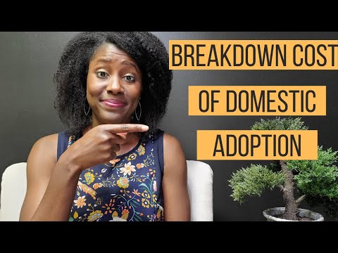 Video: Cat valorează o regină în adoptarea mea?