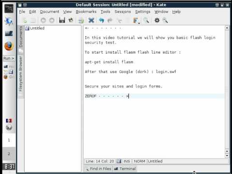 Flash login form security video tutorial by ZEROF