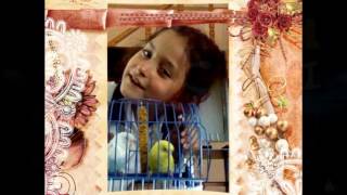 anlayama kimse bu aşkı