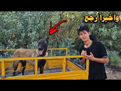 وأخيرآ زورو رجع بعد غياب 40 يوم من التعب والتدريب 😓🔥
