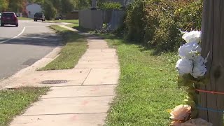 Woman walking dog on sidewalk is hit and killed in Woodbridge | NBC4 Washington