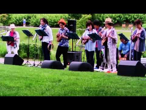 【音友サマフェス】大滝詠一／夢で逢えたら ♪ ウクレレ マカマカ