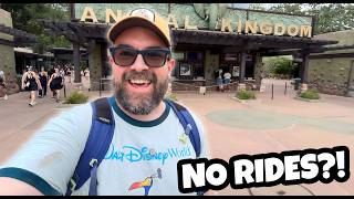 I Ignored the Rides at Disney World… and Loved It 🇺🇸