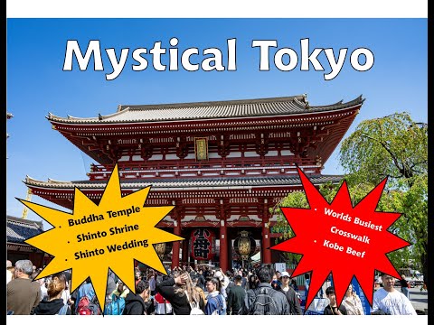 Discover The Magical Wonders Of Tokyo - The Ultimate World Cruise Video Thumbnail